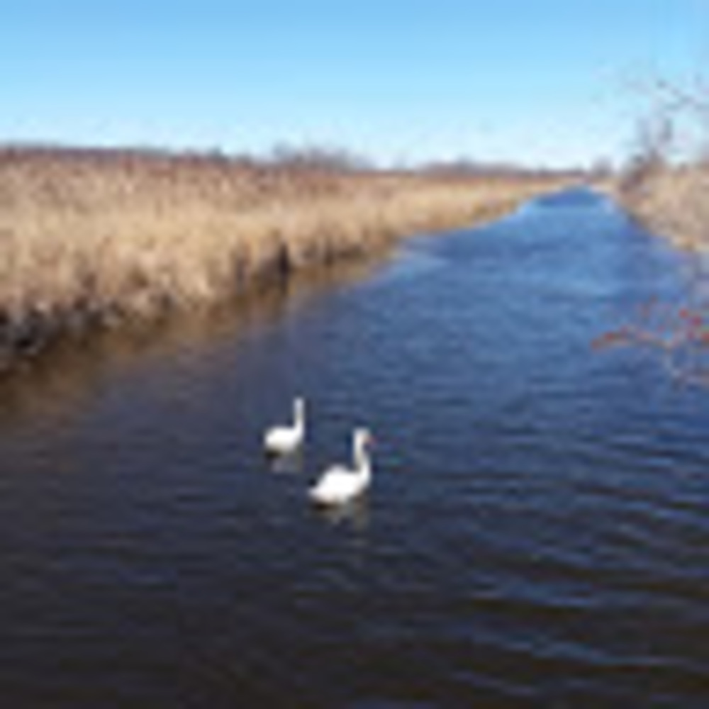 Meet your Posher, S.